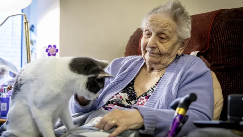 Elder abuse in our community - COTA NSW media